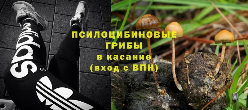 Галлюциногенные грибы MAGIC MUSHROOMS  Вуктыл 